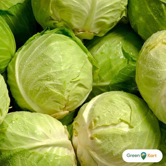 Cabbage