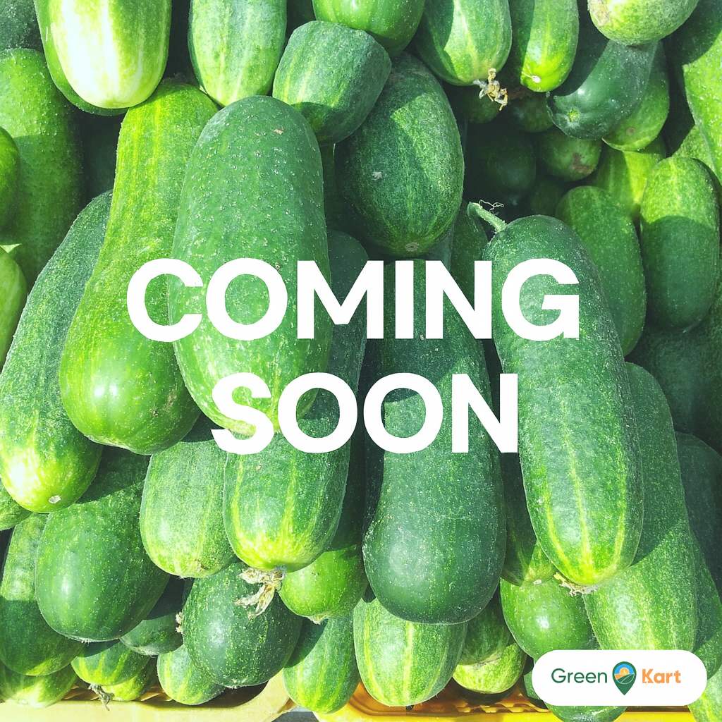 Cucumber