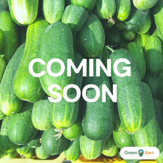 Cucumber