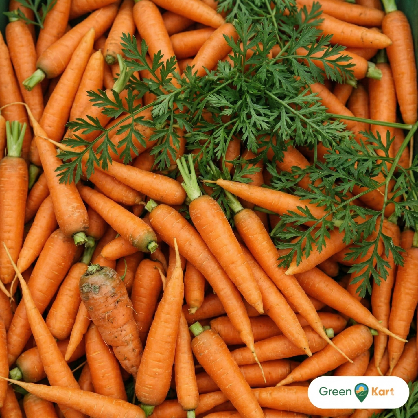 Baby carrot 200g pack