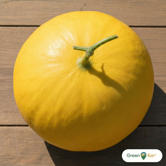 Single canary melon head