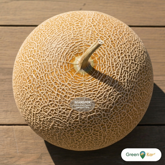 Single spanspek melon head