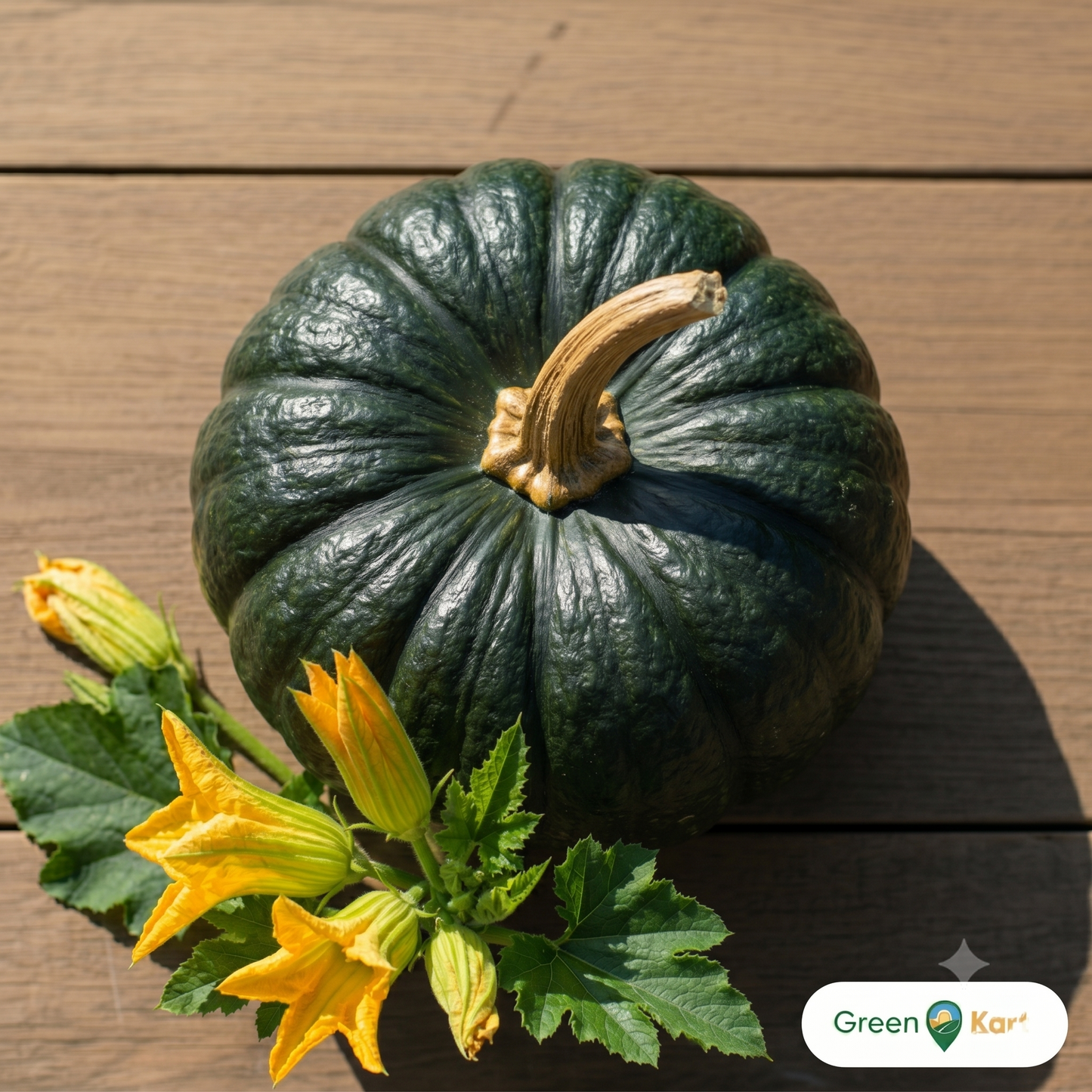 Gem squash 1KG PKT