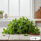 Mint 30g punnet