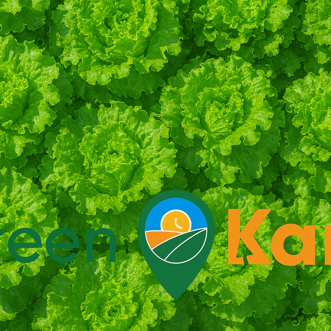 Lettuce box